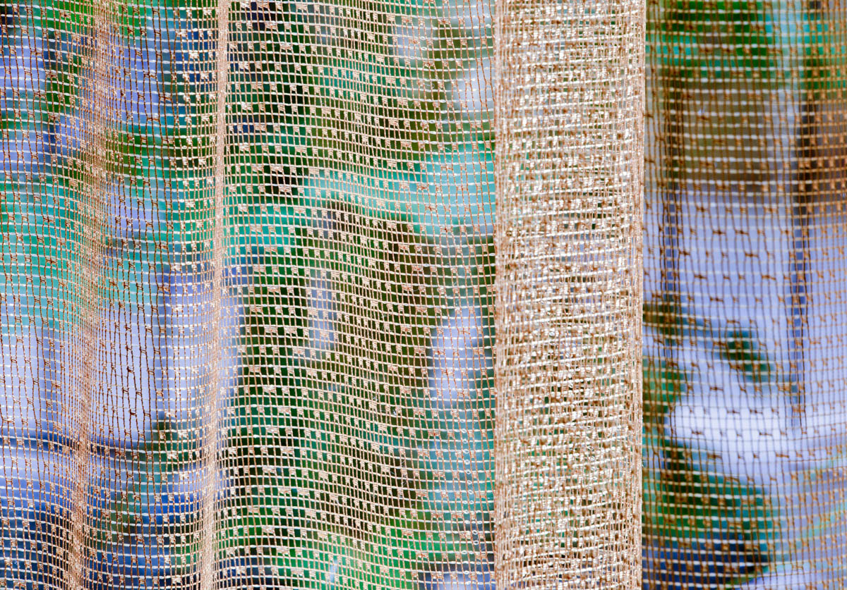 _dsc5314_g4